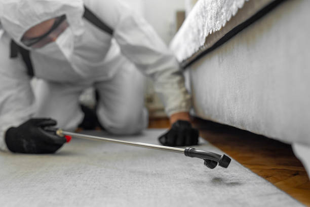 Professional Termite Control technician working in New Boston, OH