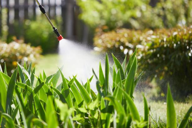 24/7 Emergency Termite Control experts in New Boston, OH