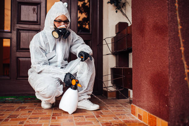 Reliable Termite Control contractor in New Boston, OH by Nex Pest Control