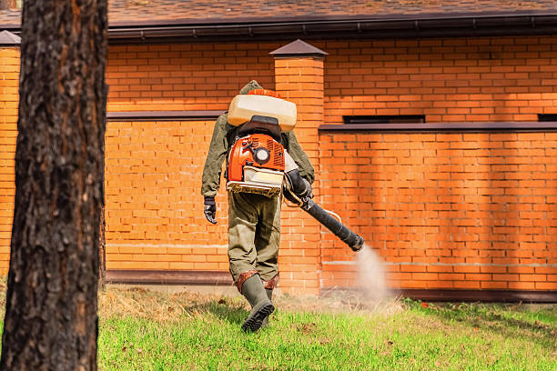 Trusted Bed Bug Control service in New Boston, OH - Nex Pest Control